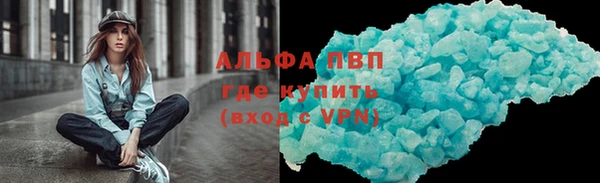 прущие грибы Балабаново