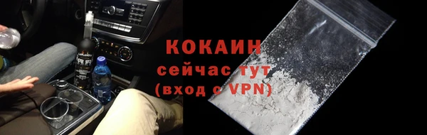 прущие грибы Балабаново