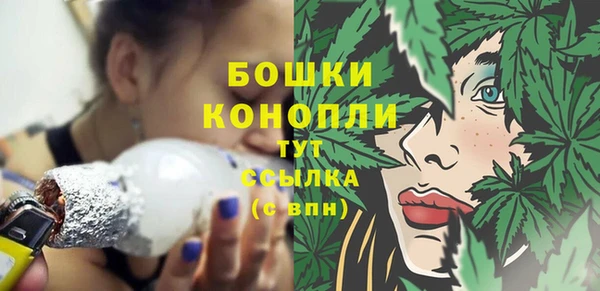 прущие грибы Балабаново