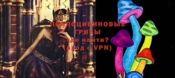 прущие грибы Балабаново