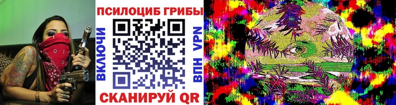 Псилоцибиновые грибы мицелий Чкаловск