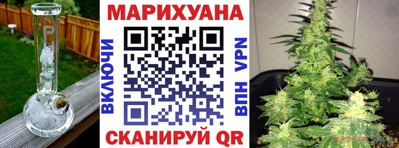 как найти наркотики  Чкаловск  Бошки Шишки тримм 